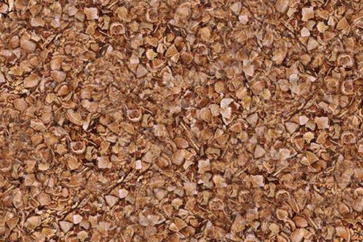 Bed of crushed California almond shells for biomass fuel