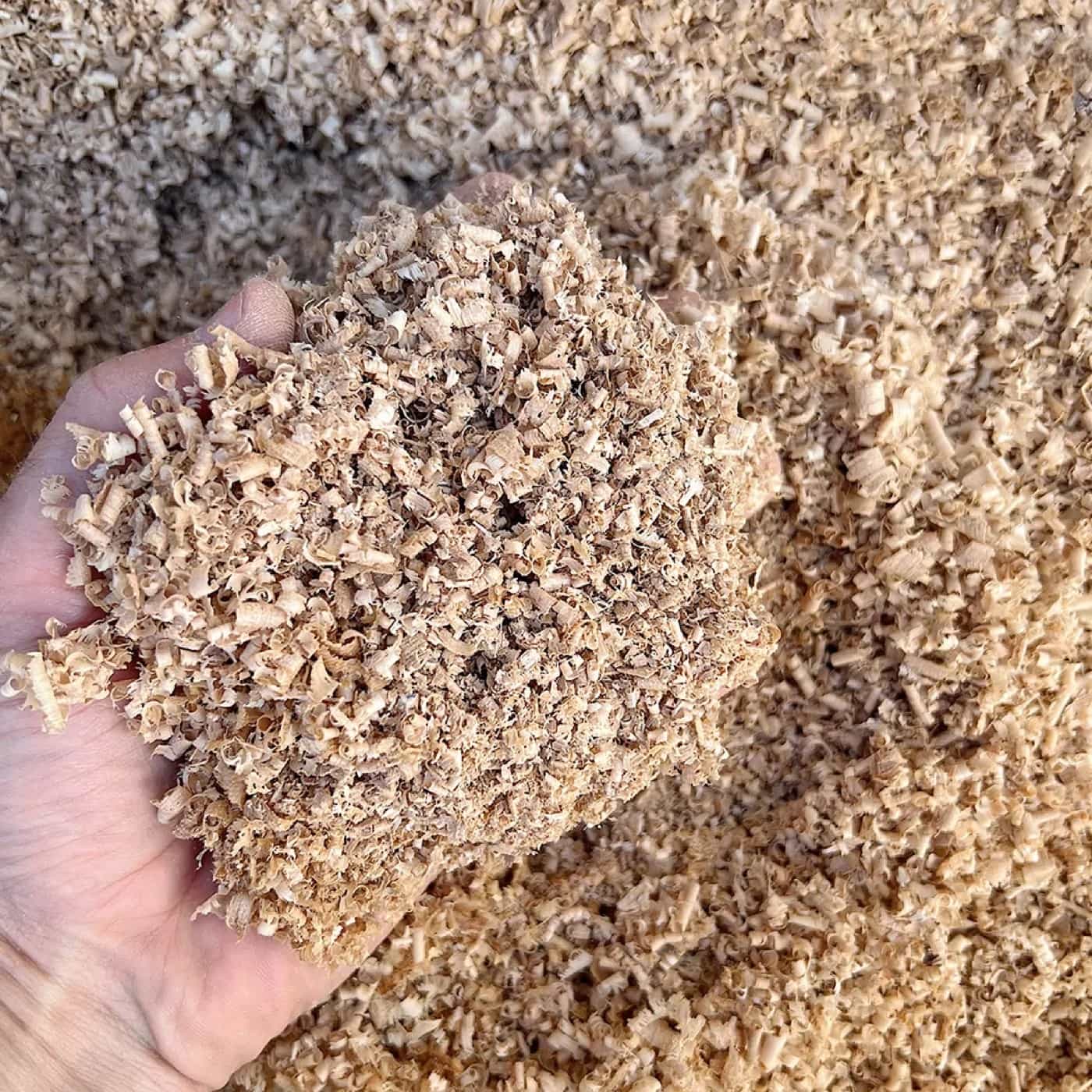 A handful of fine sawdust feedstock for wood pellet production