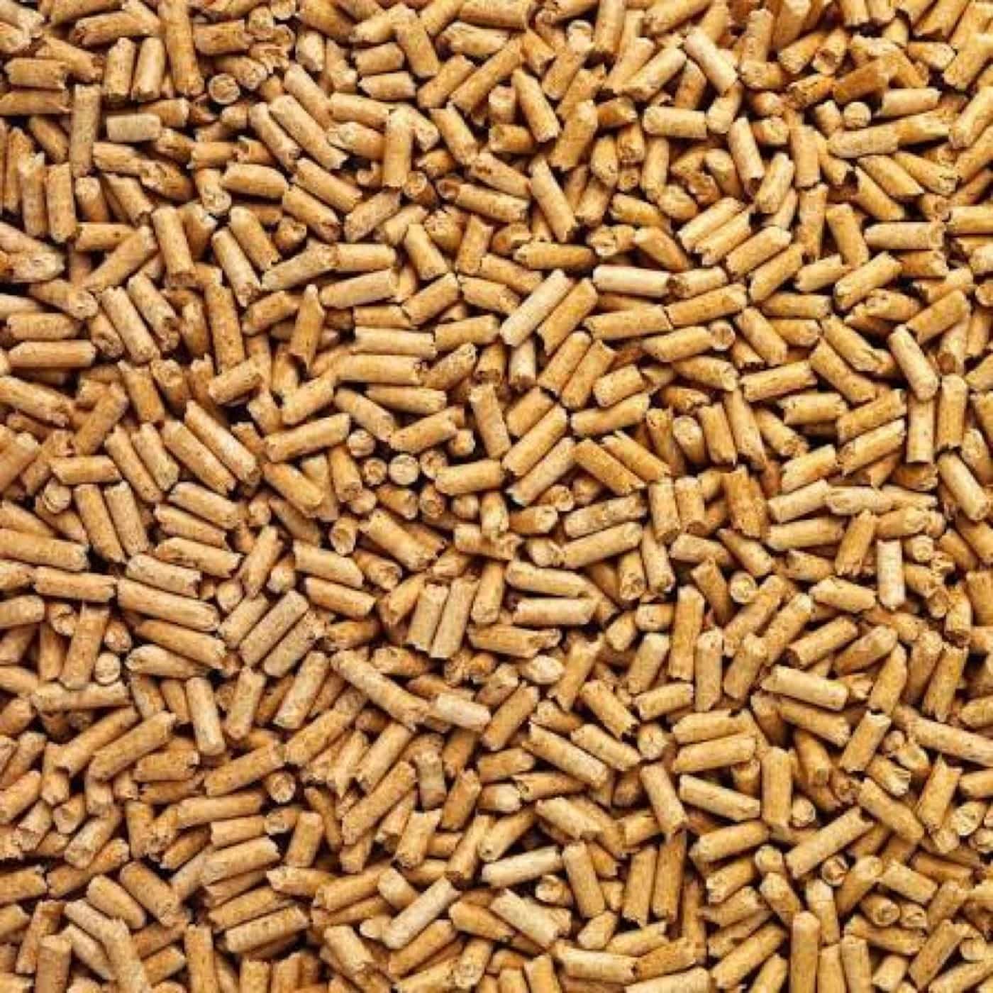 Densified wood pellets for renewable energy, top-down view