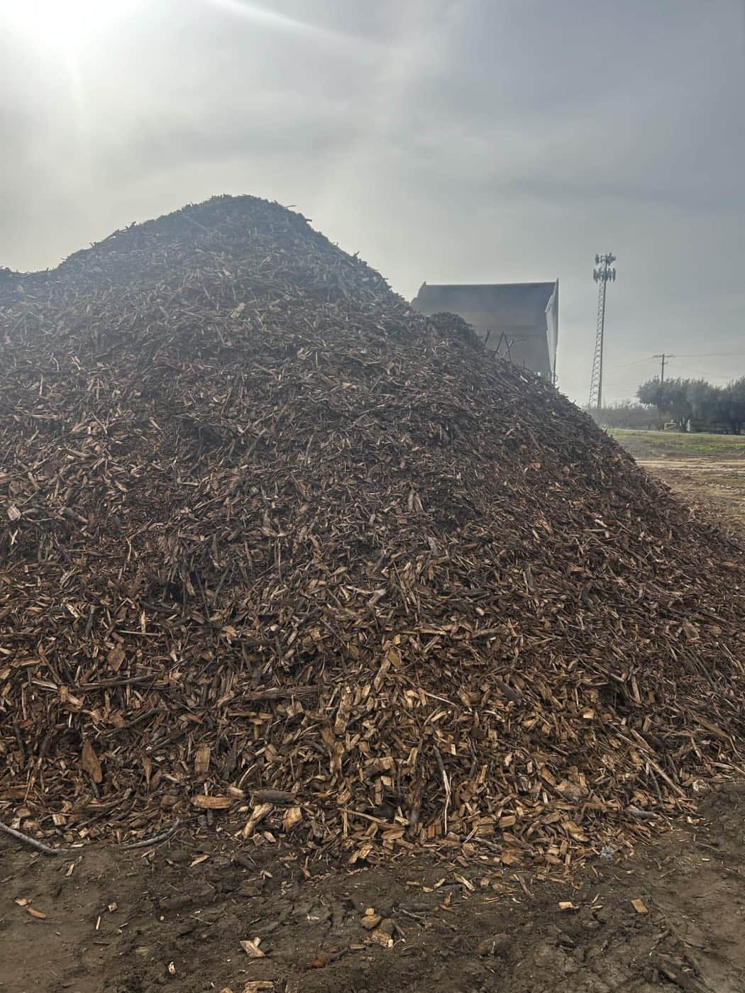 Almond wood stockpile in the yard