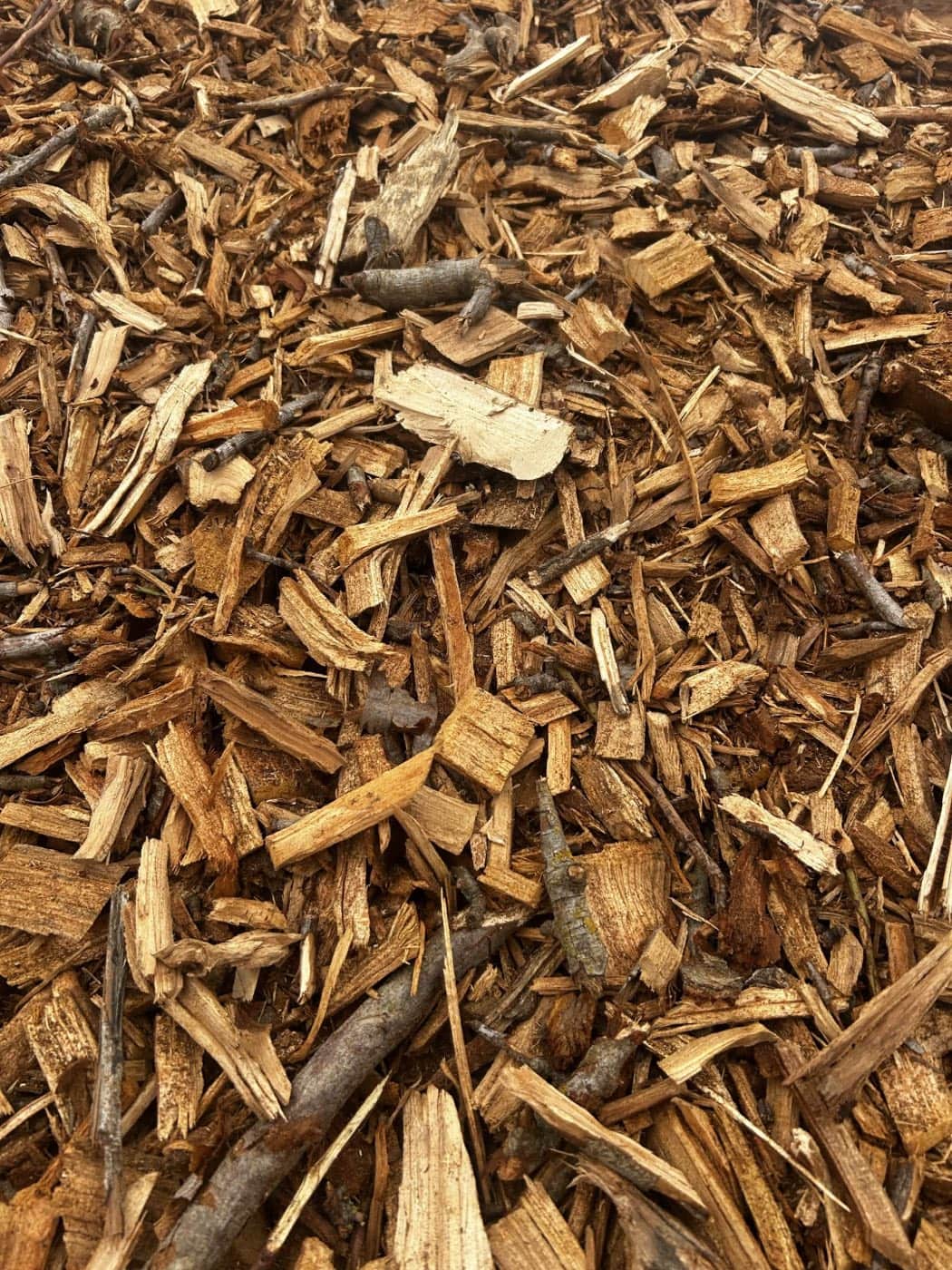 Bed of screened golden almond wood chips