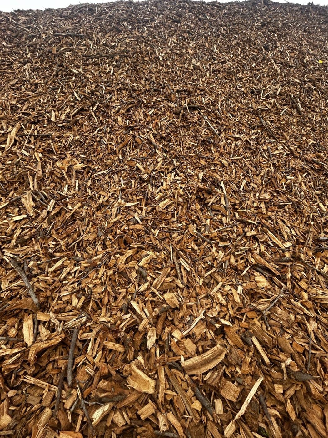 Surface of an almond wood chip pile