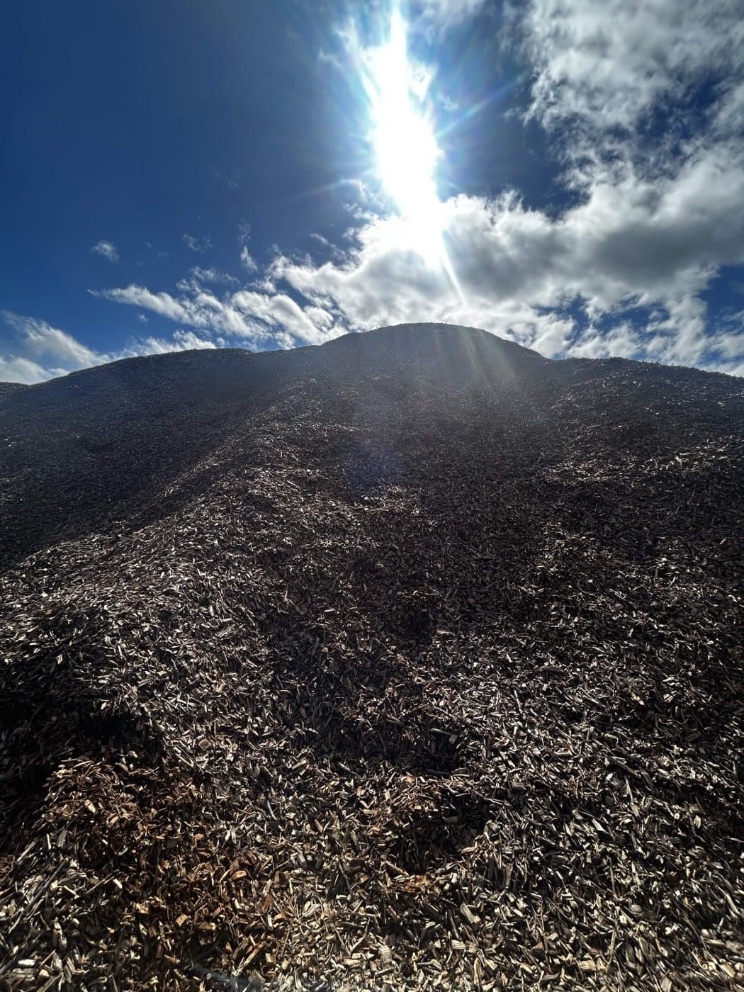Stockpiled processed almond wood against the sky
