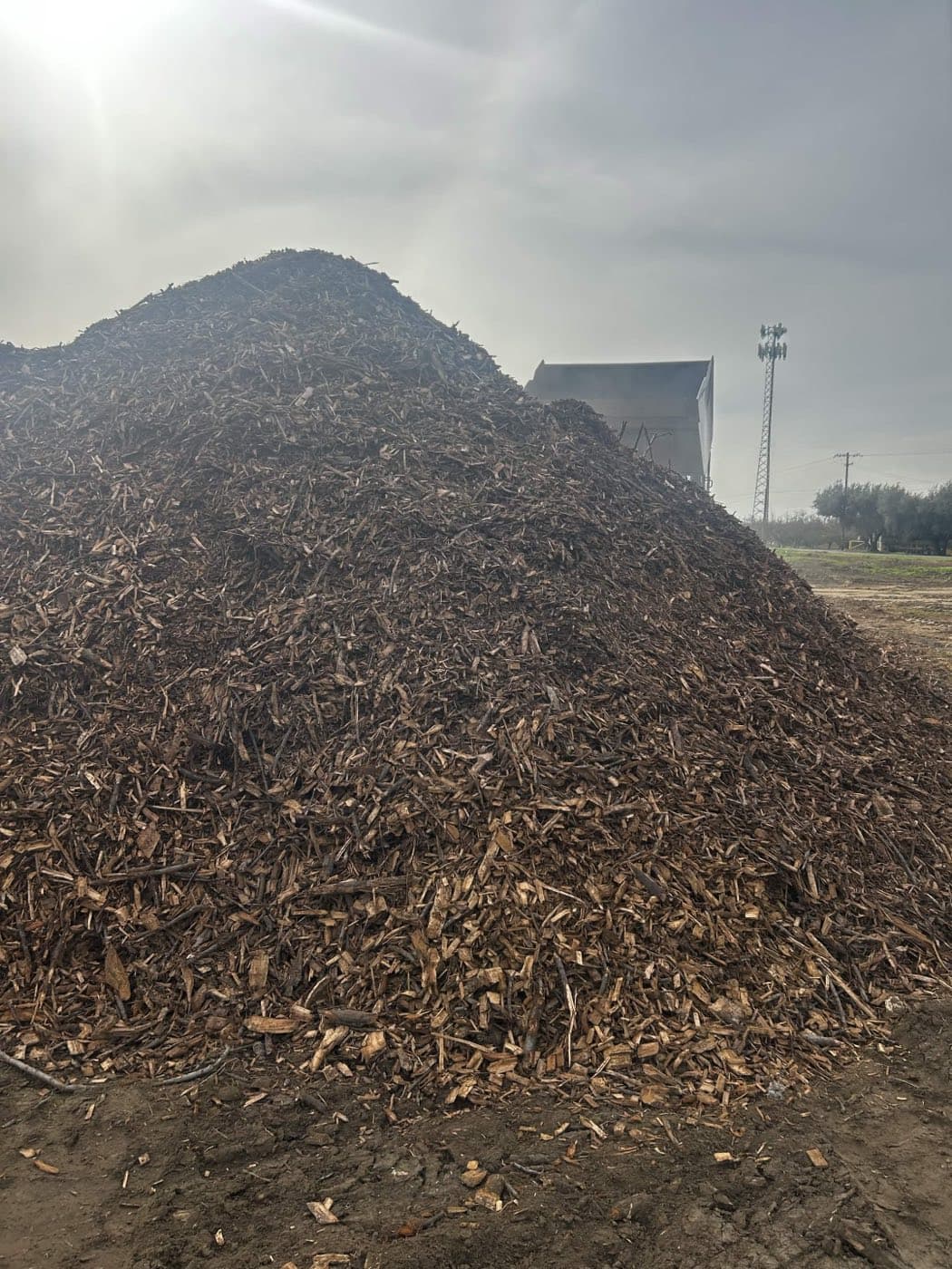 Almond wood stockpile in the yard