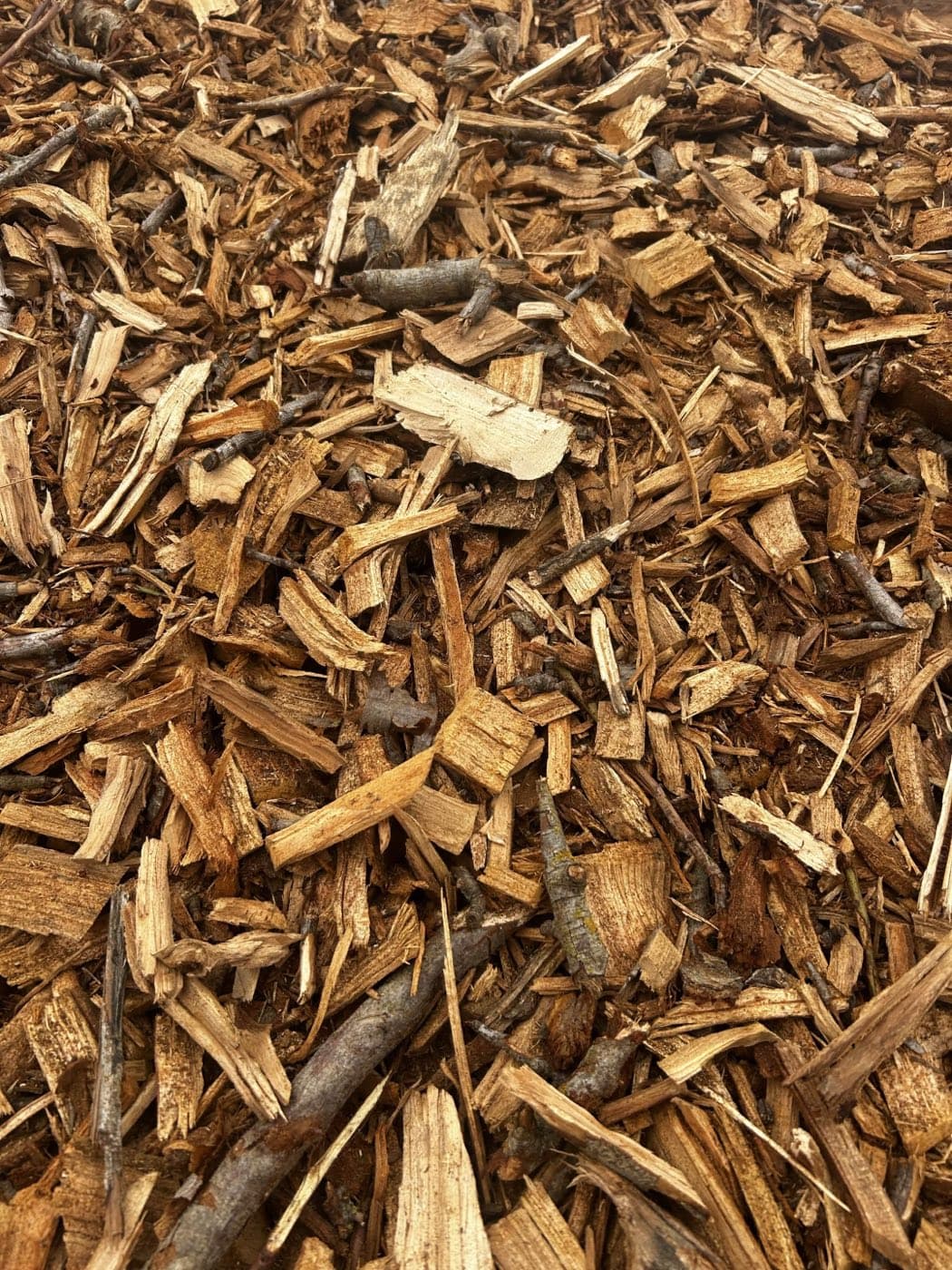 Screened California almond wood chips