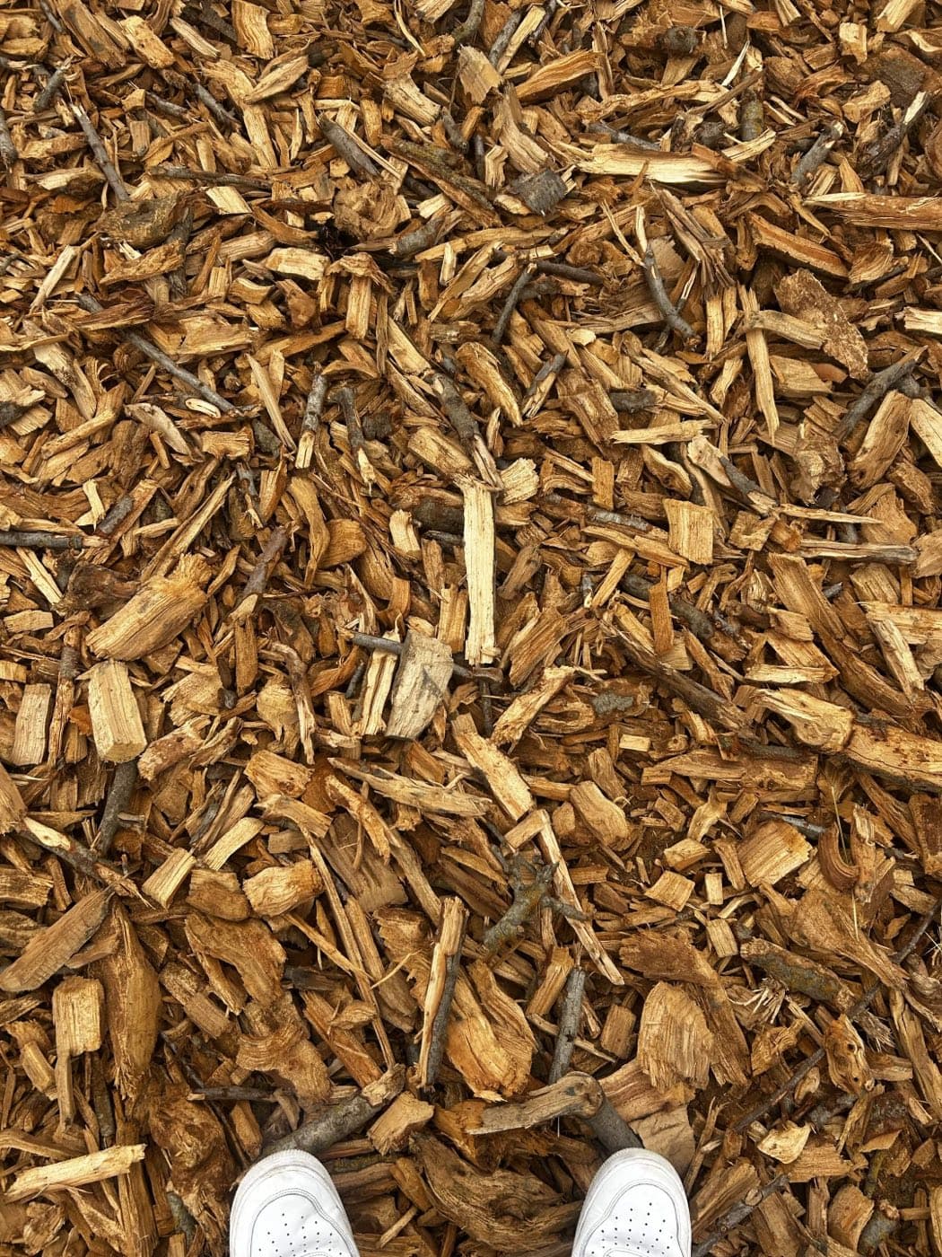 Close view of uniform almond wood chips